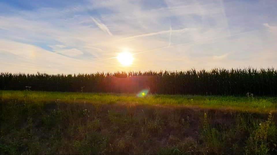 Vakantiewoning Henisdael Heers Esterno foto