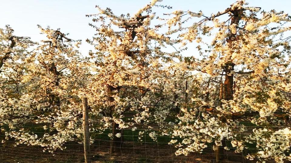 Vakantiewoning Henisdael Heers Esterno foto