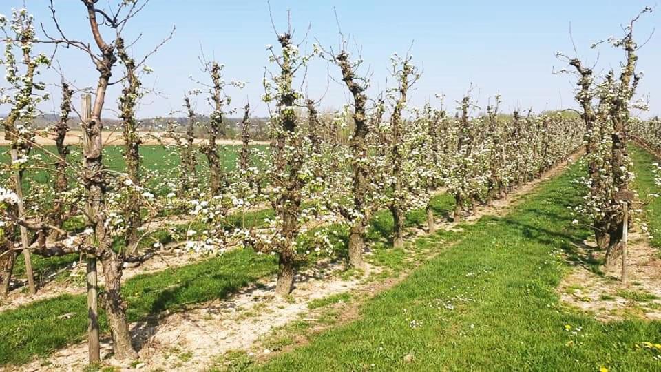 Vakantiewoning Henisdael Heers Esterno foto