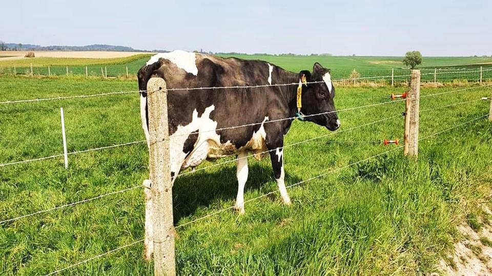 Vakantiewoning Henisdael Heers Esterno foto