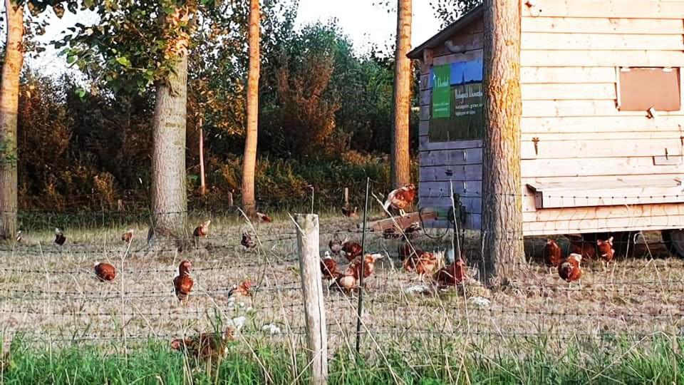 Vakantiewoning Henisdael Heers Esterno foto