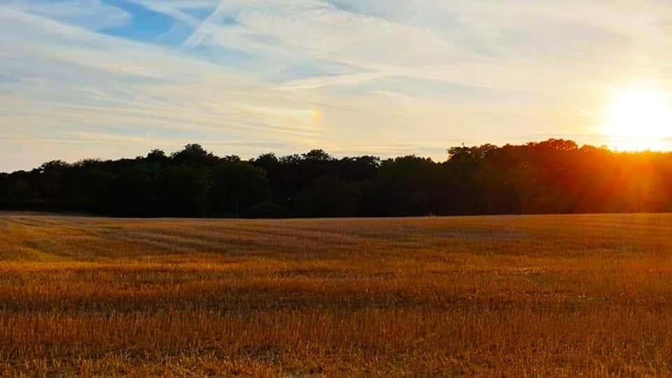 Vakantiewoning Henisdael Heers Esterno foto